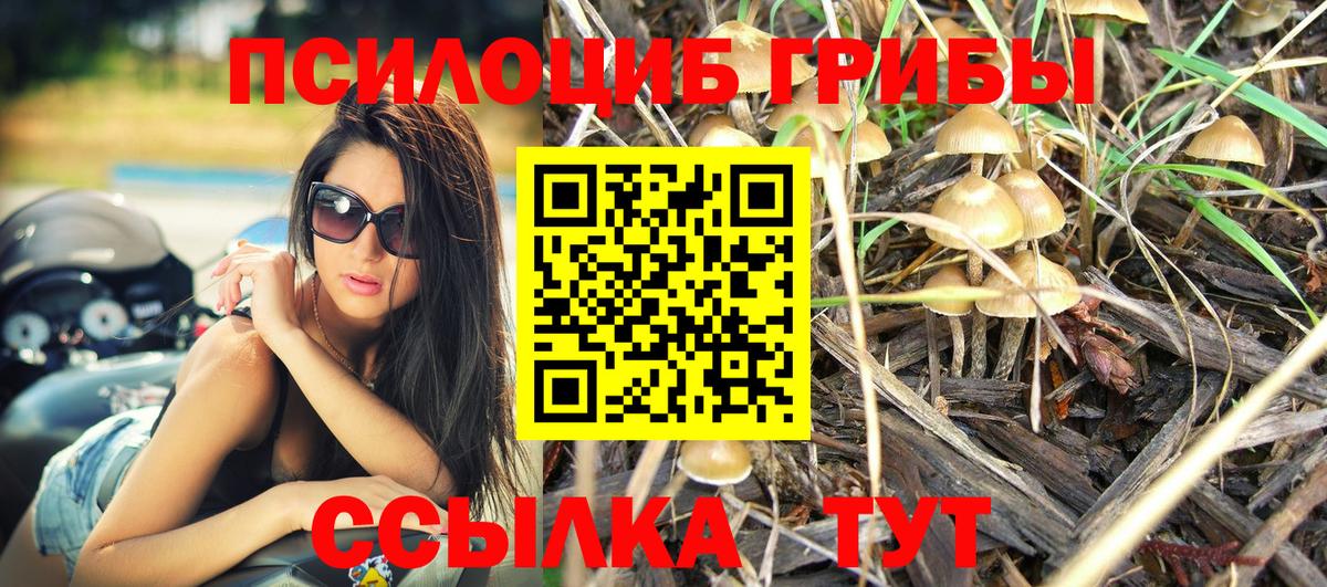 Галлюциногенные грибы Magic Shrooms Баксан