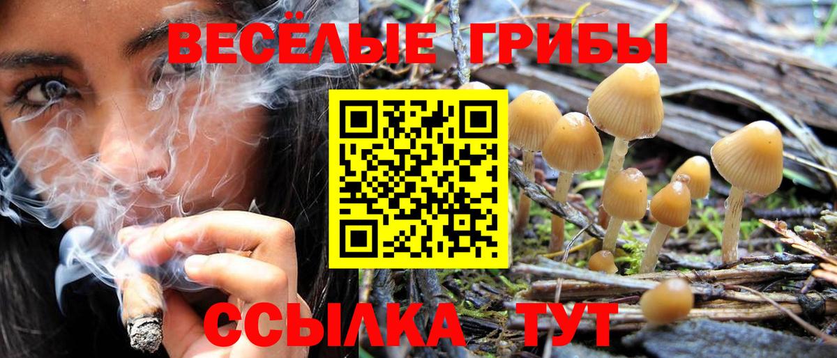 Галлюциногенные грибы мухоморы  Вход с VPN  Баксан  Галлюциногенные грибы ЛСД 